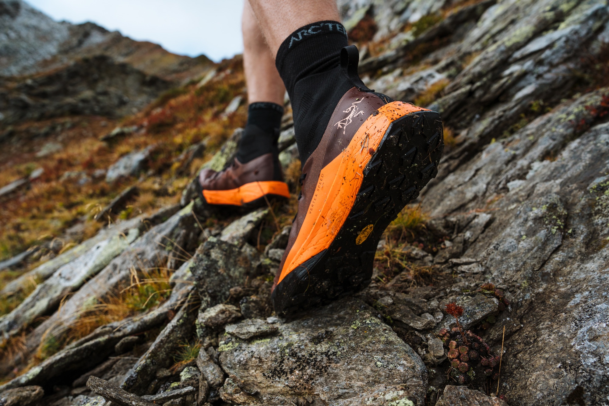 Vertex Speed Shoe - 4