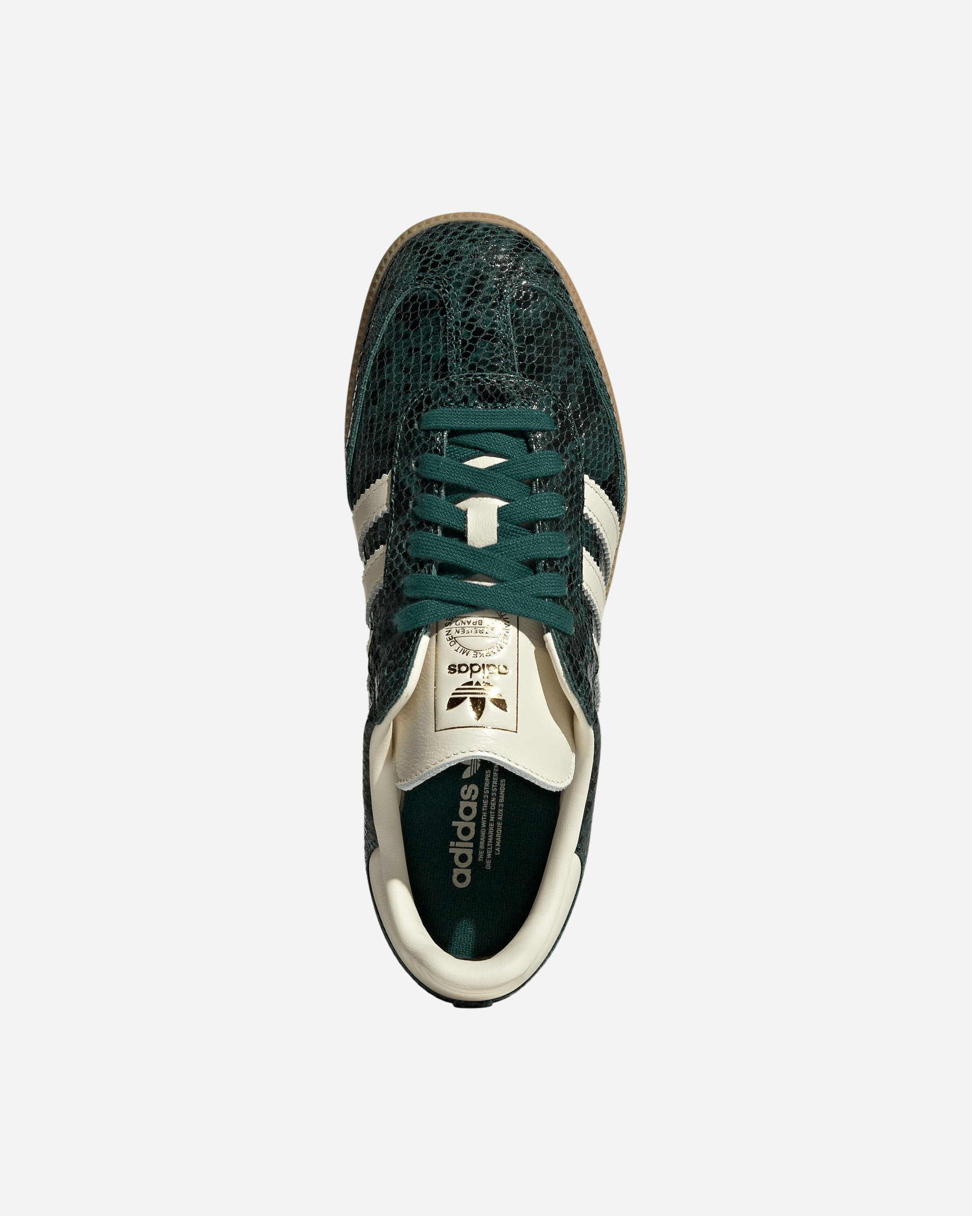 Samba OG - 4