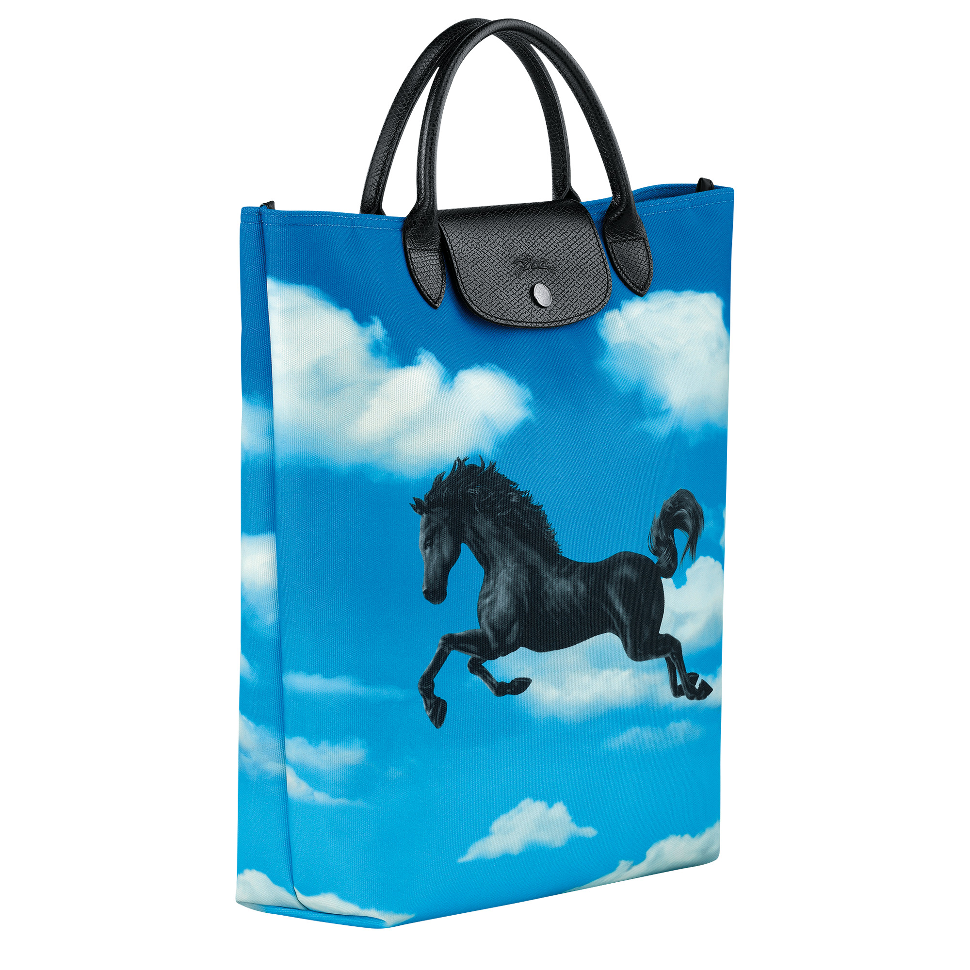 Longchamp horse bag best sale