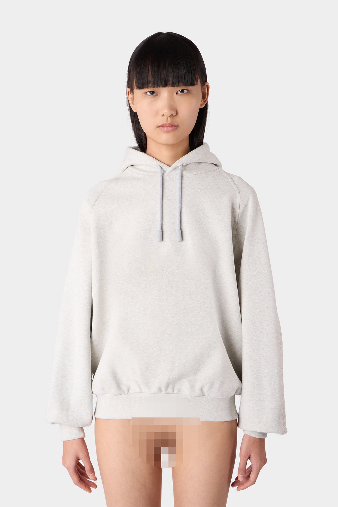 EMBROIDERED EIWS HOODIE / light grey melange - 1