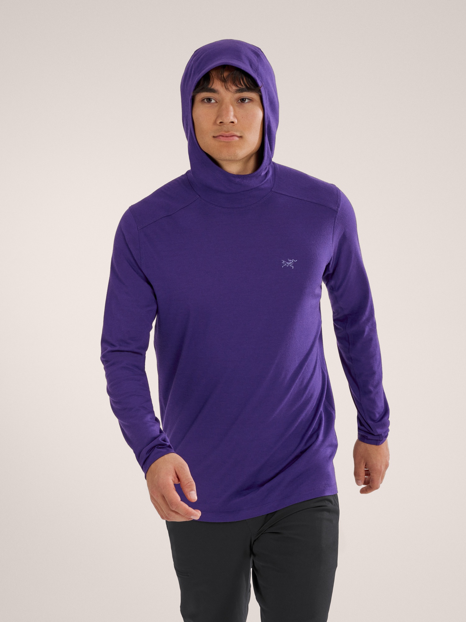 Ionia Merino Wool Hoody - 2