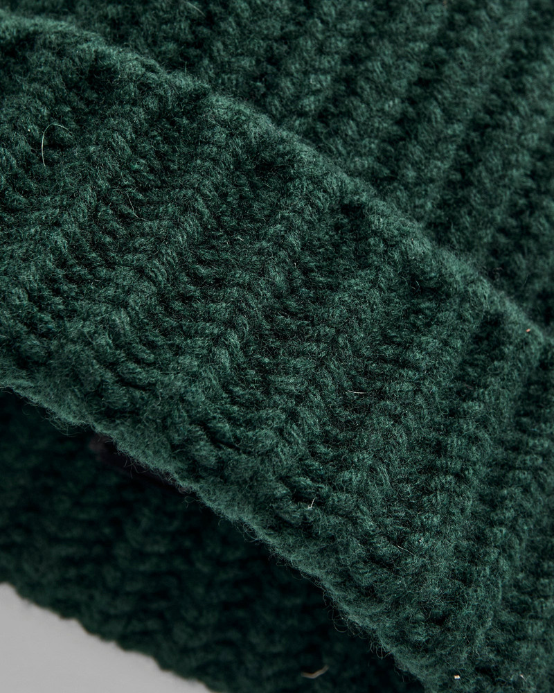 HOWLIN' "Brain Freezer" Wool Beanie in Forest outlook