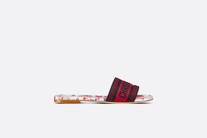 Dior Dway Slide outlook