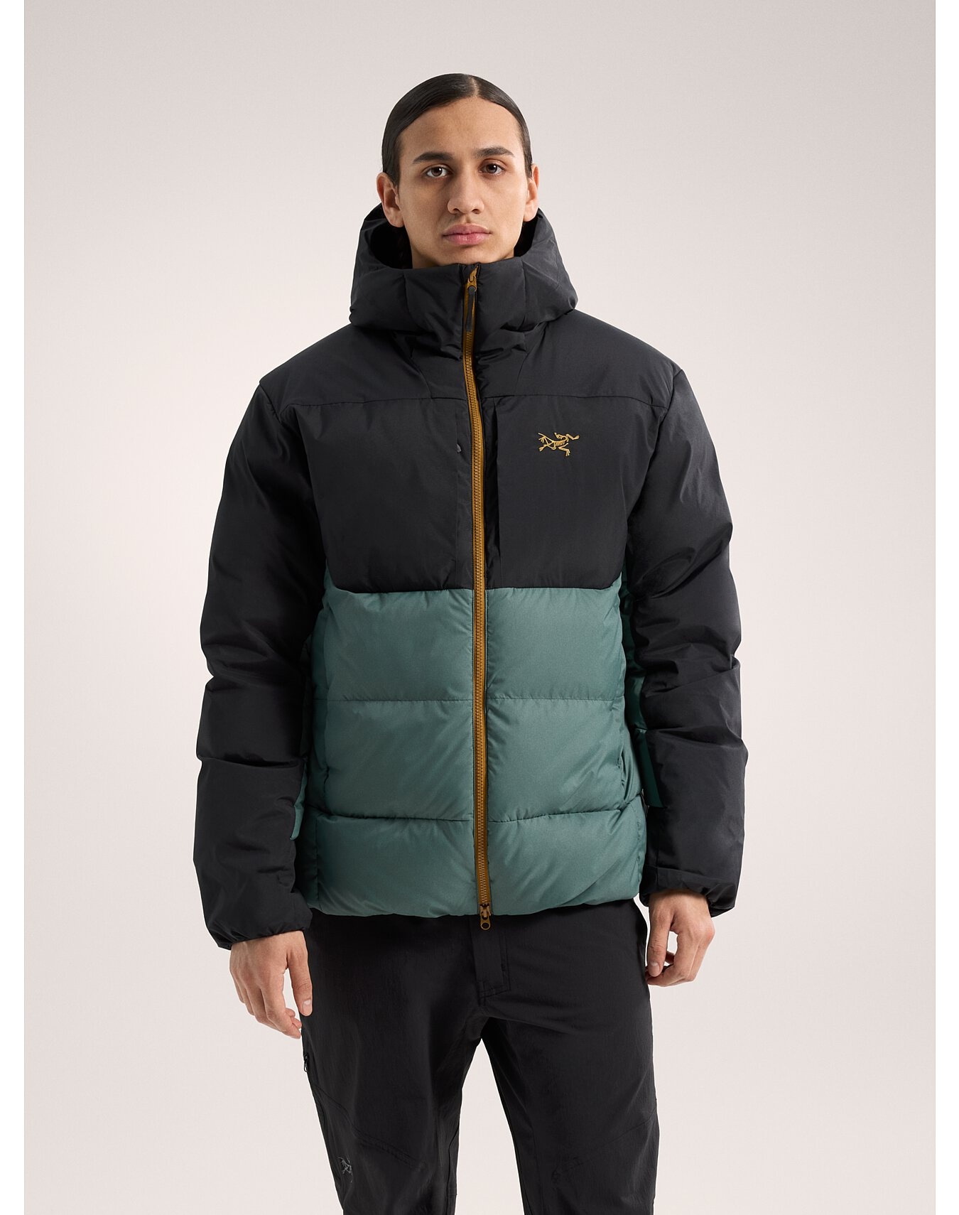 Arc teryx Thorium SV Hoody REVERSIBLE