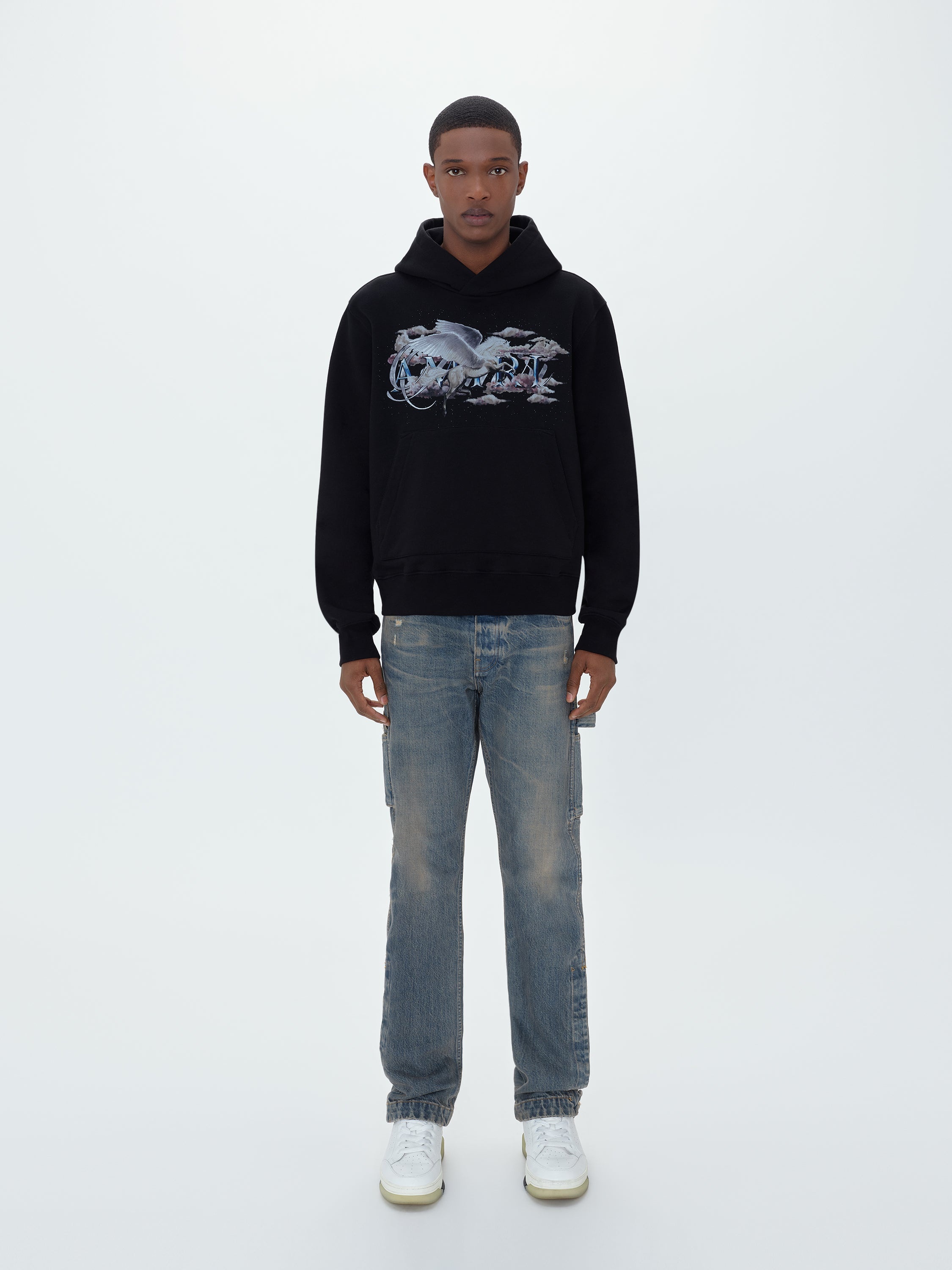 PEGASUS SCRIPT HOODIE - 2