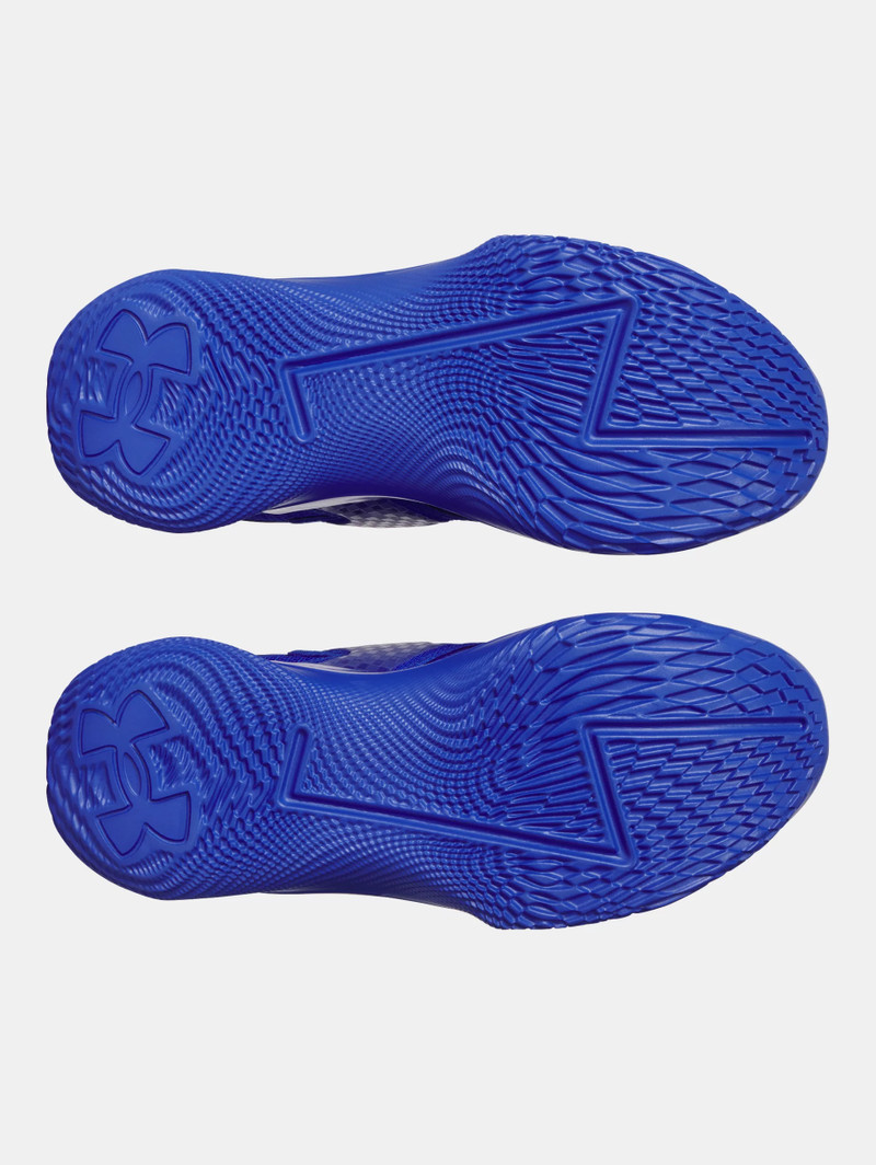 Curry Fox 1 'Lexington' 4