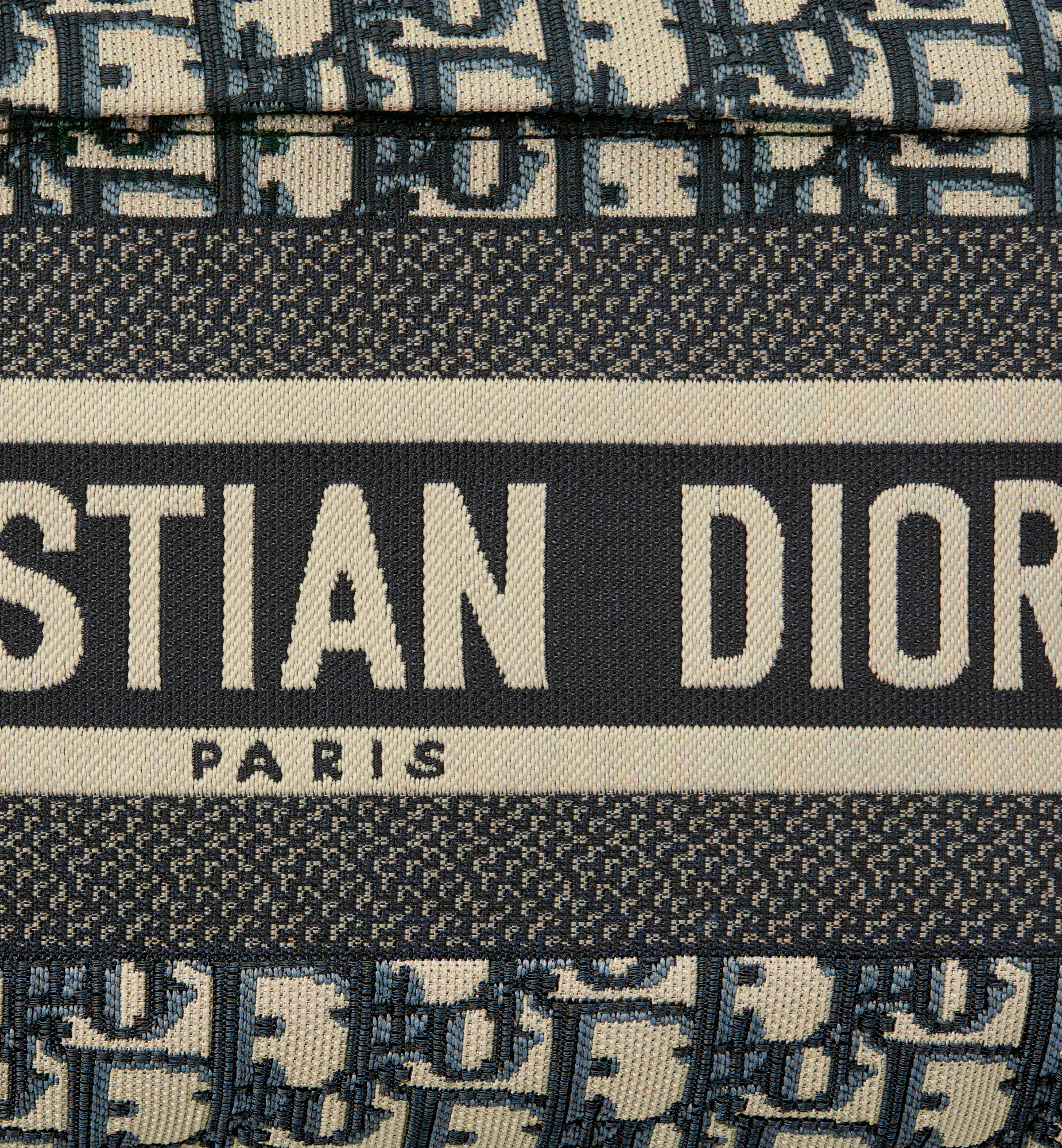 DiorTravel Backpack - 8