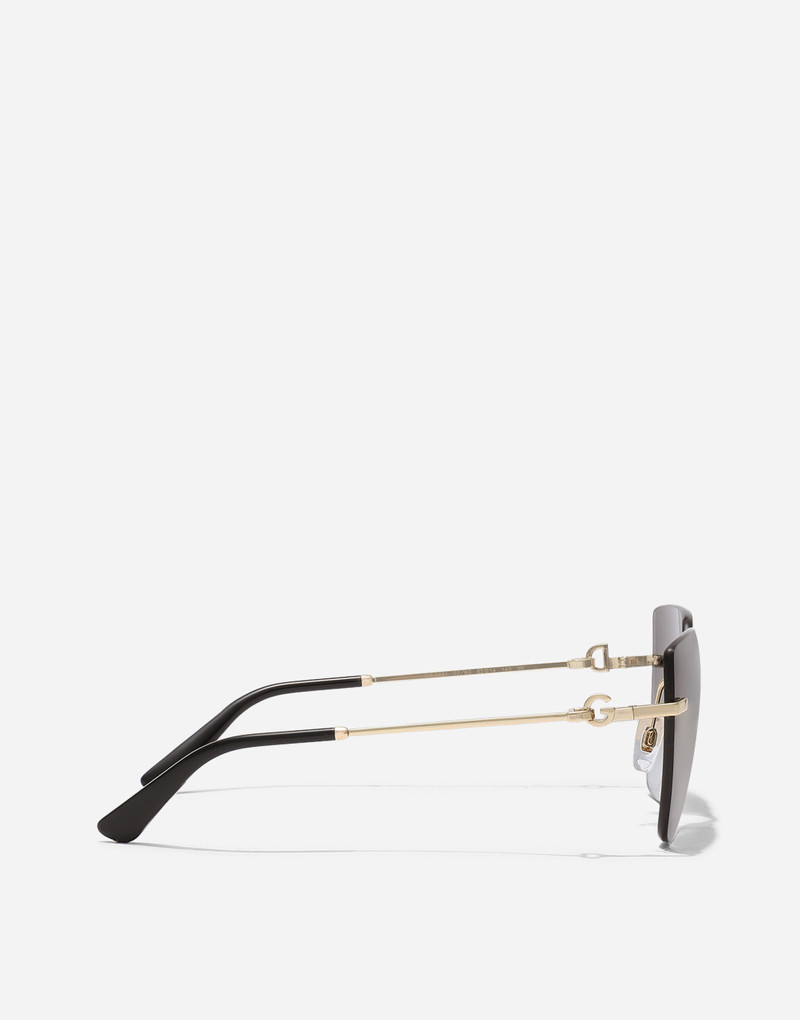 DG Flip Sunglasses 3