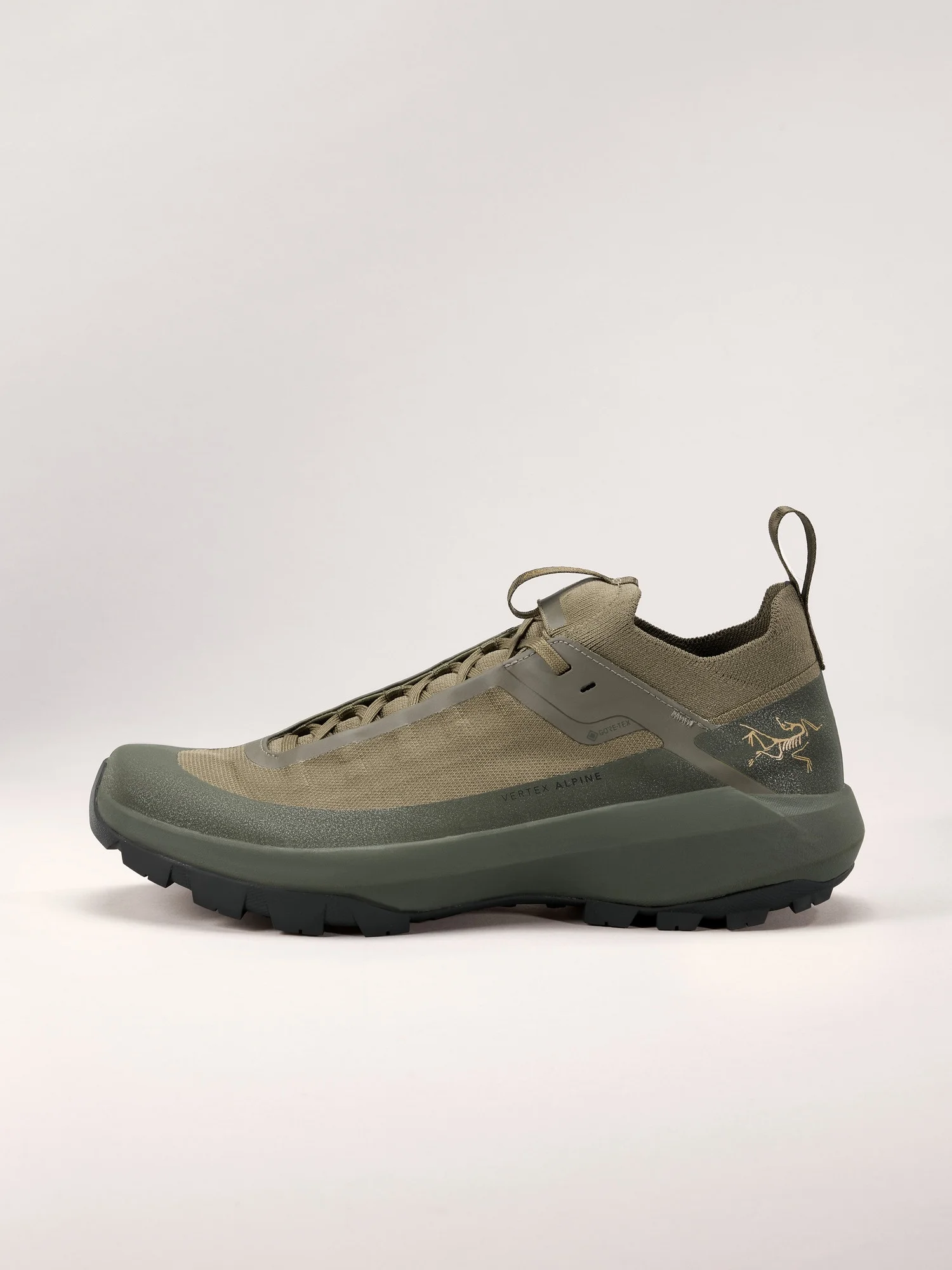 Vertex Alpine GTX Shoe - 1