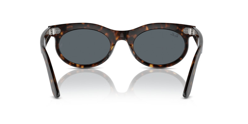 WAYFARER OVAL 6