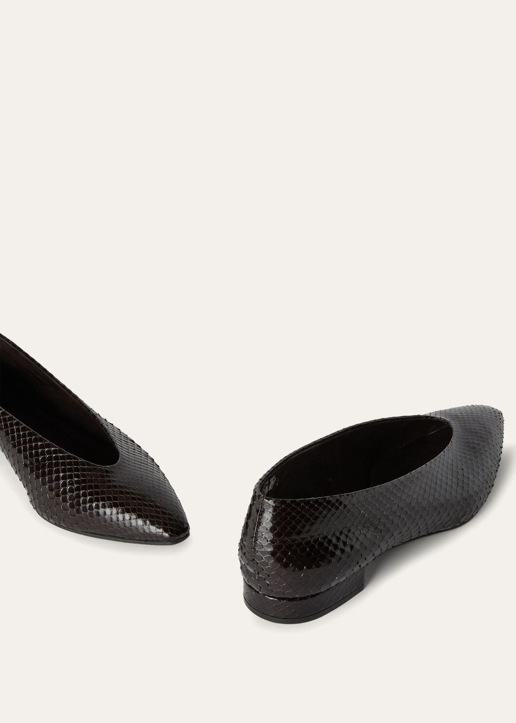 Rebecca Ballerinas - 7