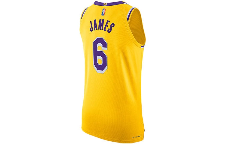 Nike x NBA LA Lakers Jerseys 'LeBron James 6' DB3317-730 - 2