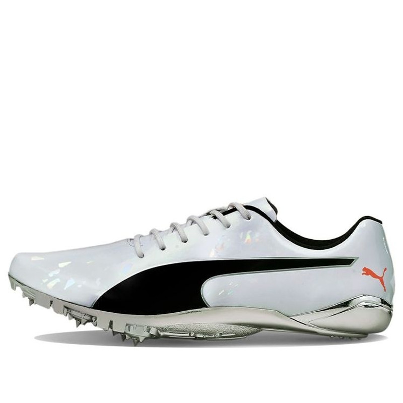 PUMA evoSPEED Electric 10 'Grey' 194475-01 - 1