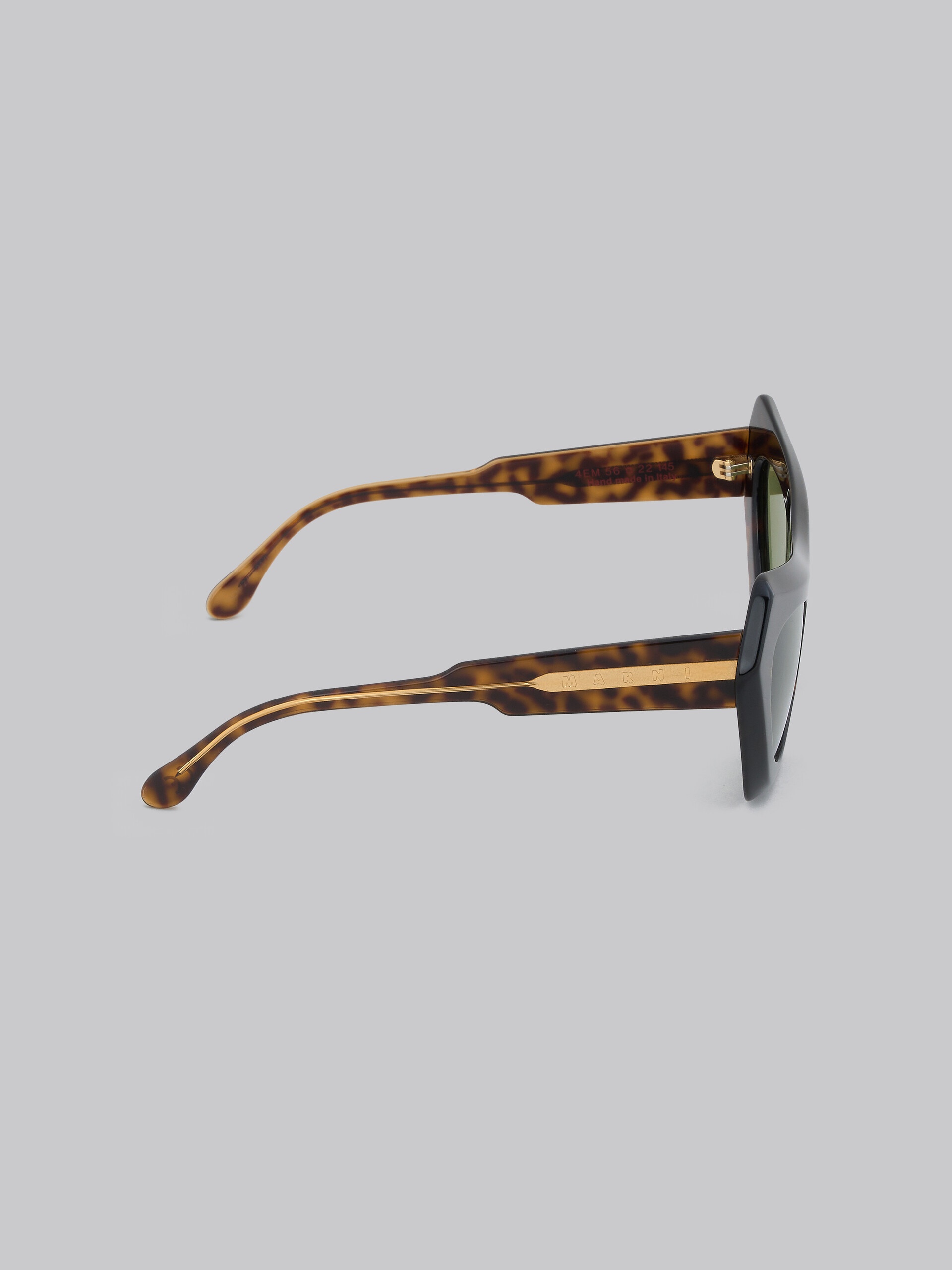 DEVIL'S POOL HAVANA SUNGLASSES - 4