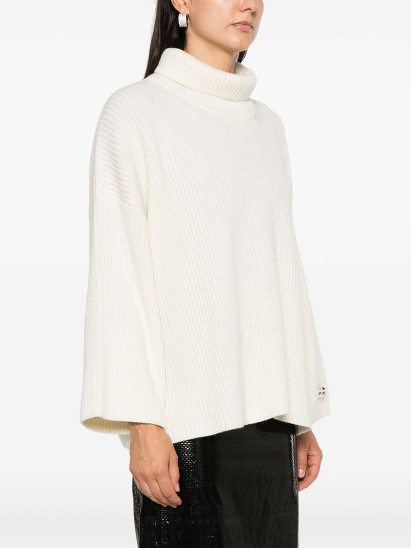 Burmilla sweater 3