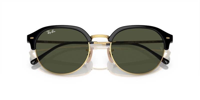 Ray-Ban RB4429 outlook