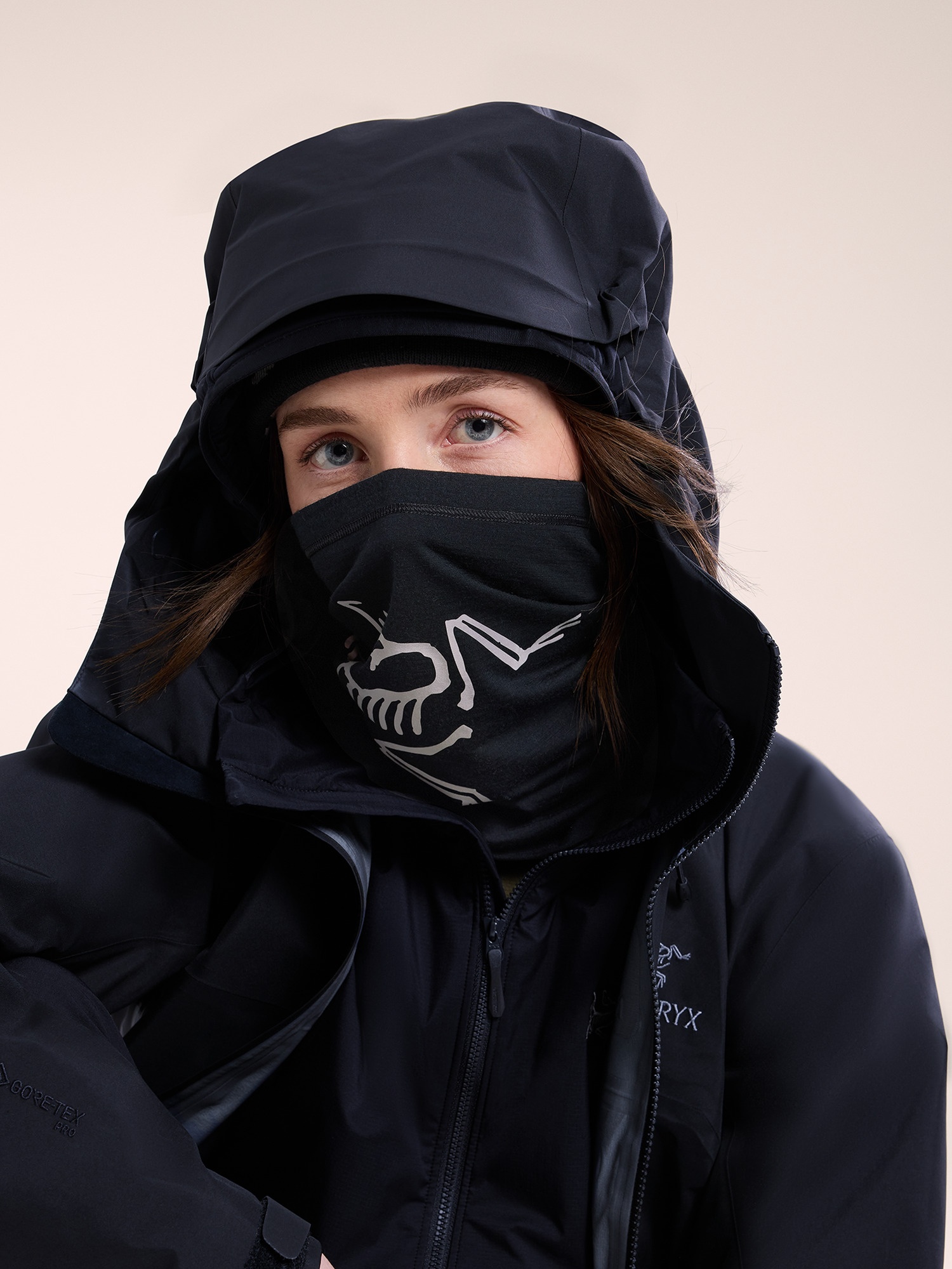 Arc'teryx Lightweight Neck Gaiter | arcteryx | REVERSIBLE