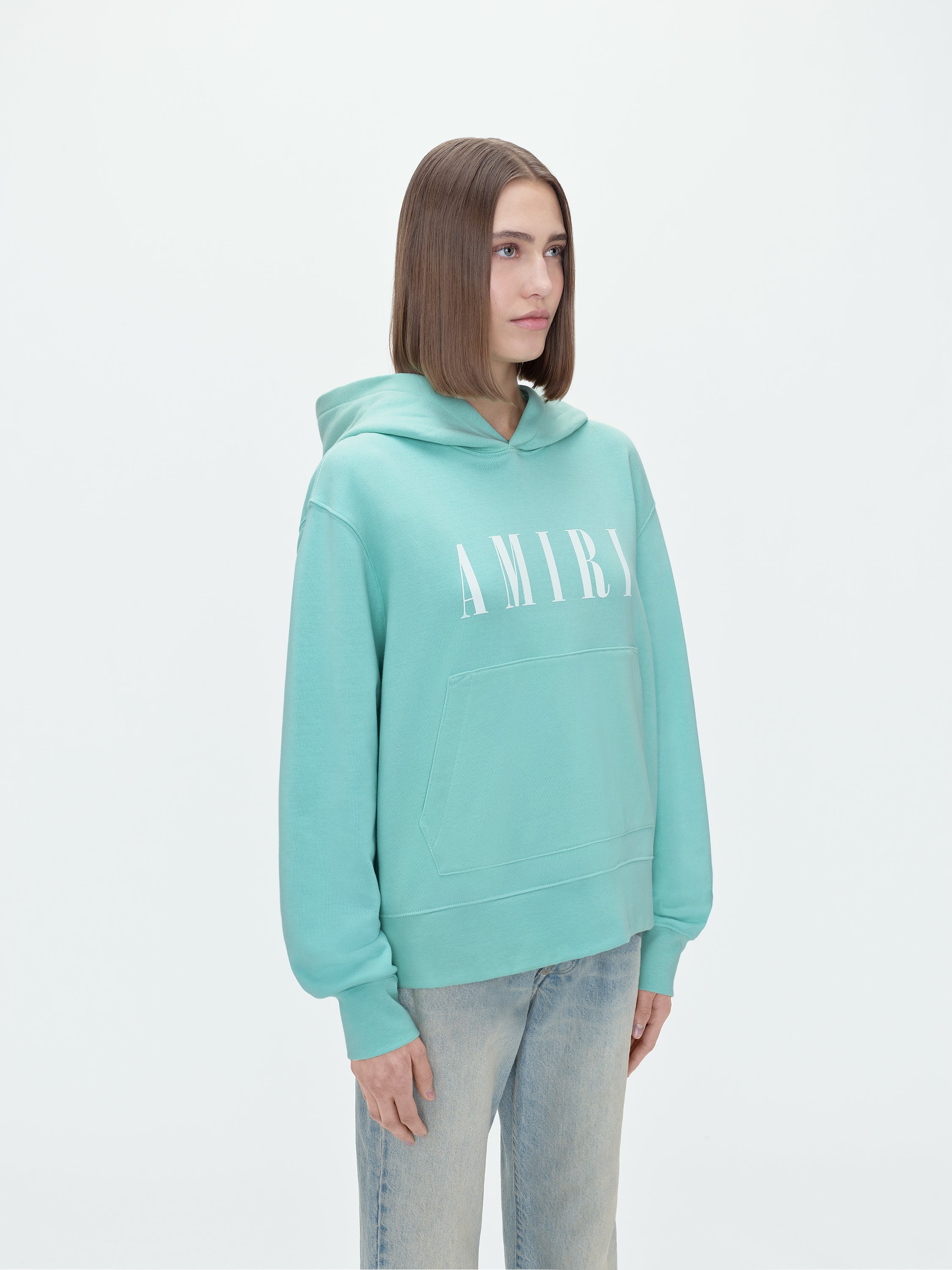 AMIRI AMIRI CORE LOGO HOODIE | REVERSIBLE