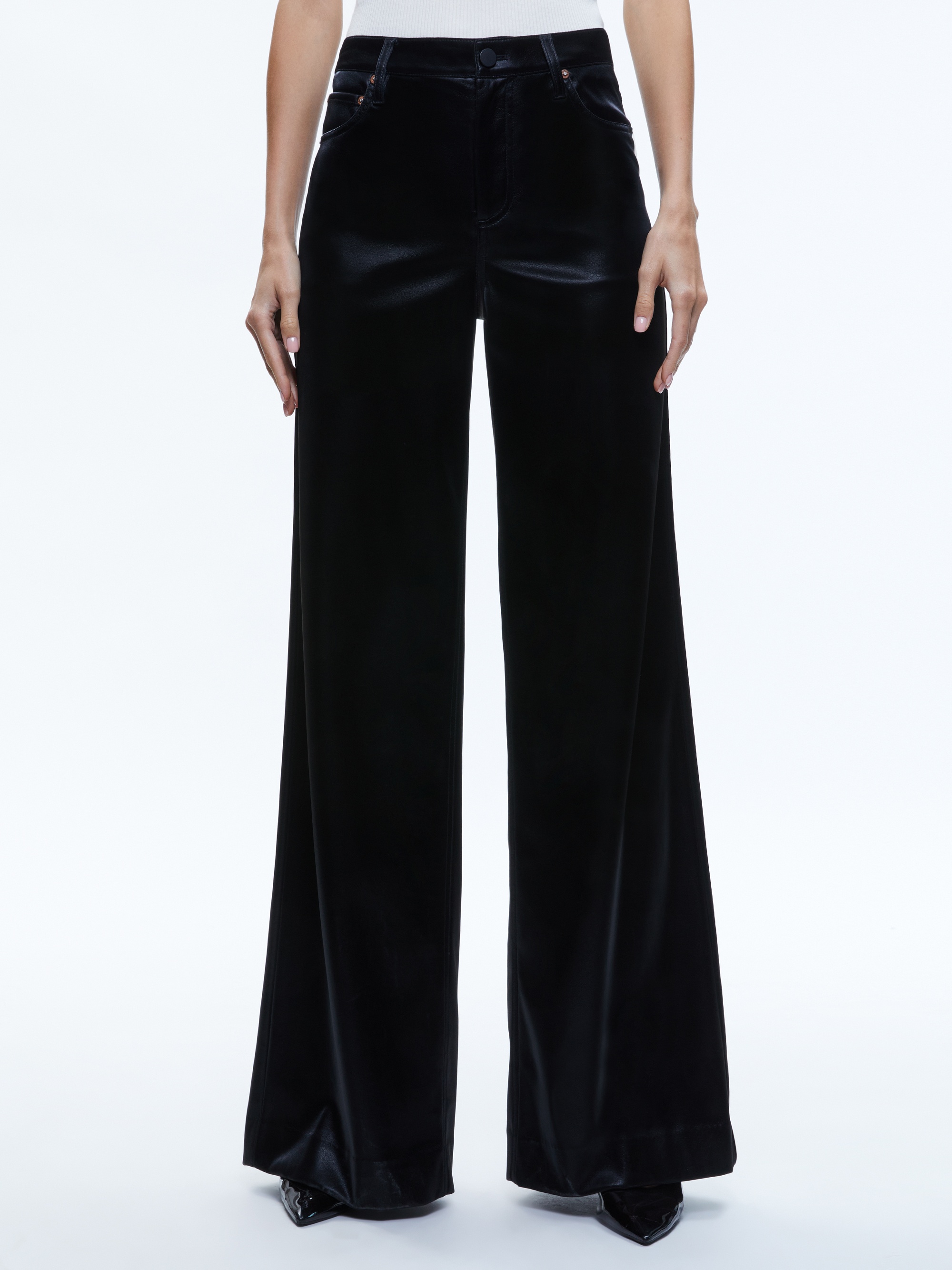 TRISH SHINY VEGAN LEATHER BAGGY PANT - 2