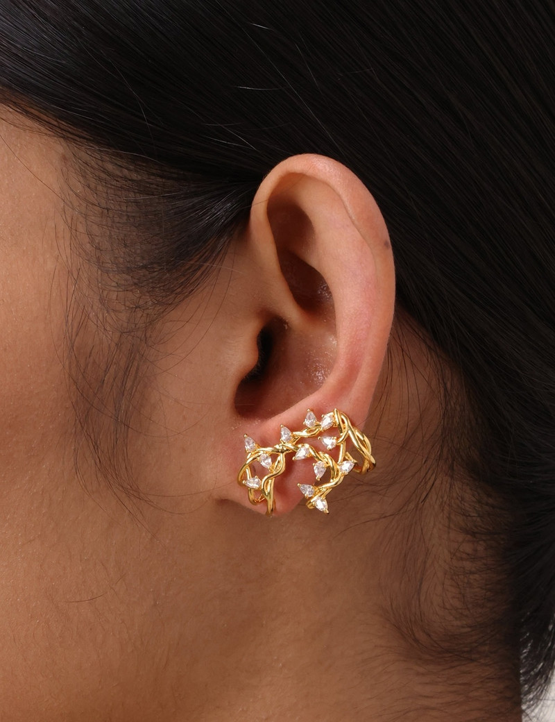 Zimmermann ZIMMERMANN RADIANT EAR CRAWLER outlook