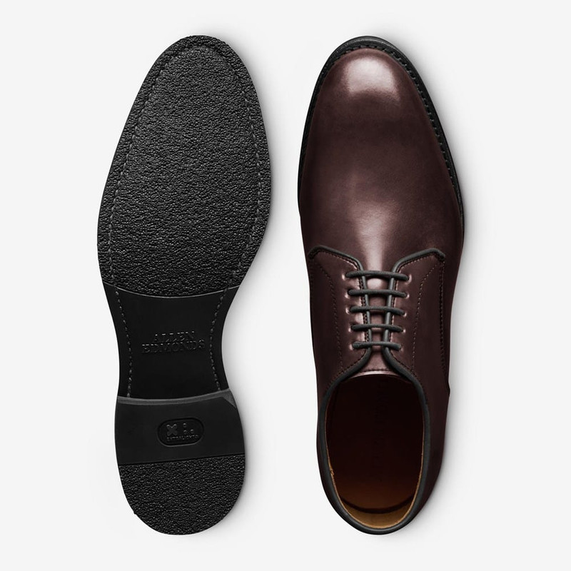 Ramsey Shell Cordovan Plain-toe Derby Dress Shoe 6
