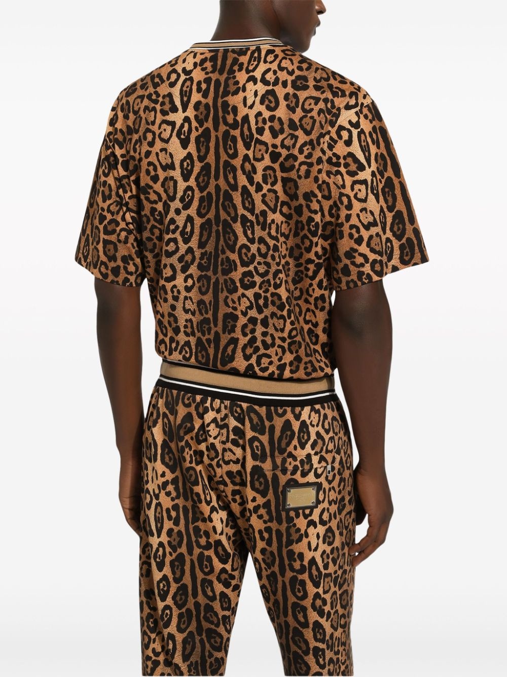 leopard-print cotton track pants - 6