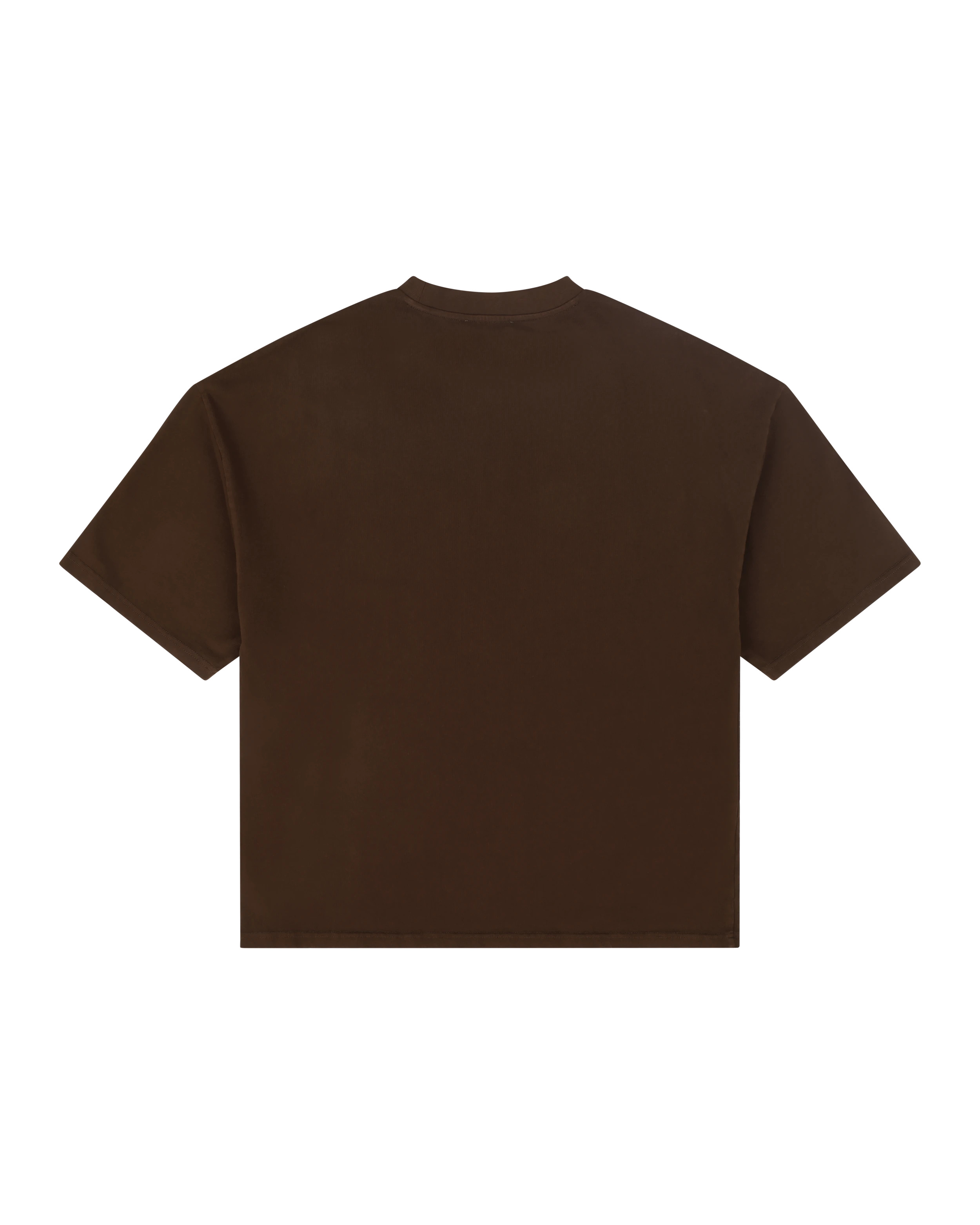 HEAVY BOXY TEE BRUNETTE - 5