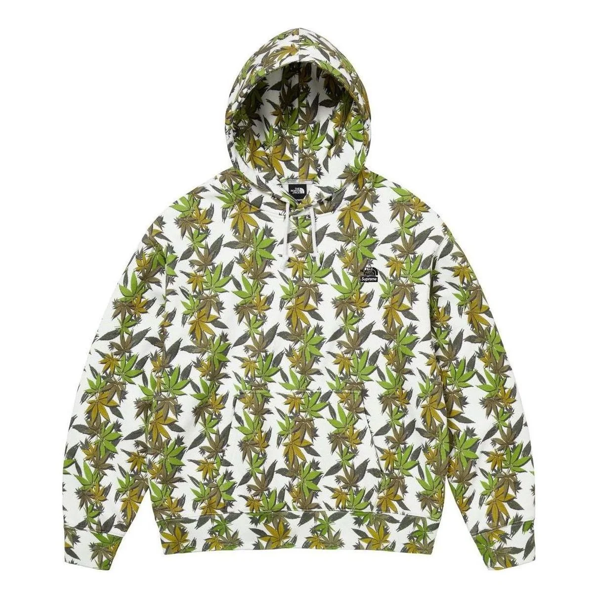 Supreme x THE NORTH FACE Leaf Hoodie 'Green' SUP-FW23-216 - 1