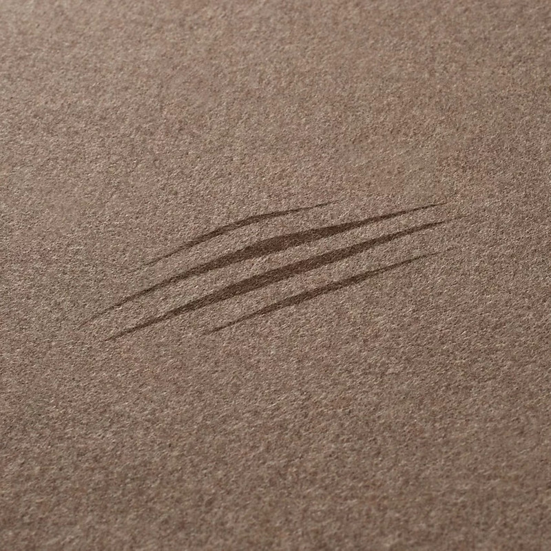 Roaaaaar ! muffler 5