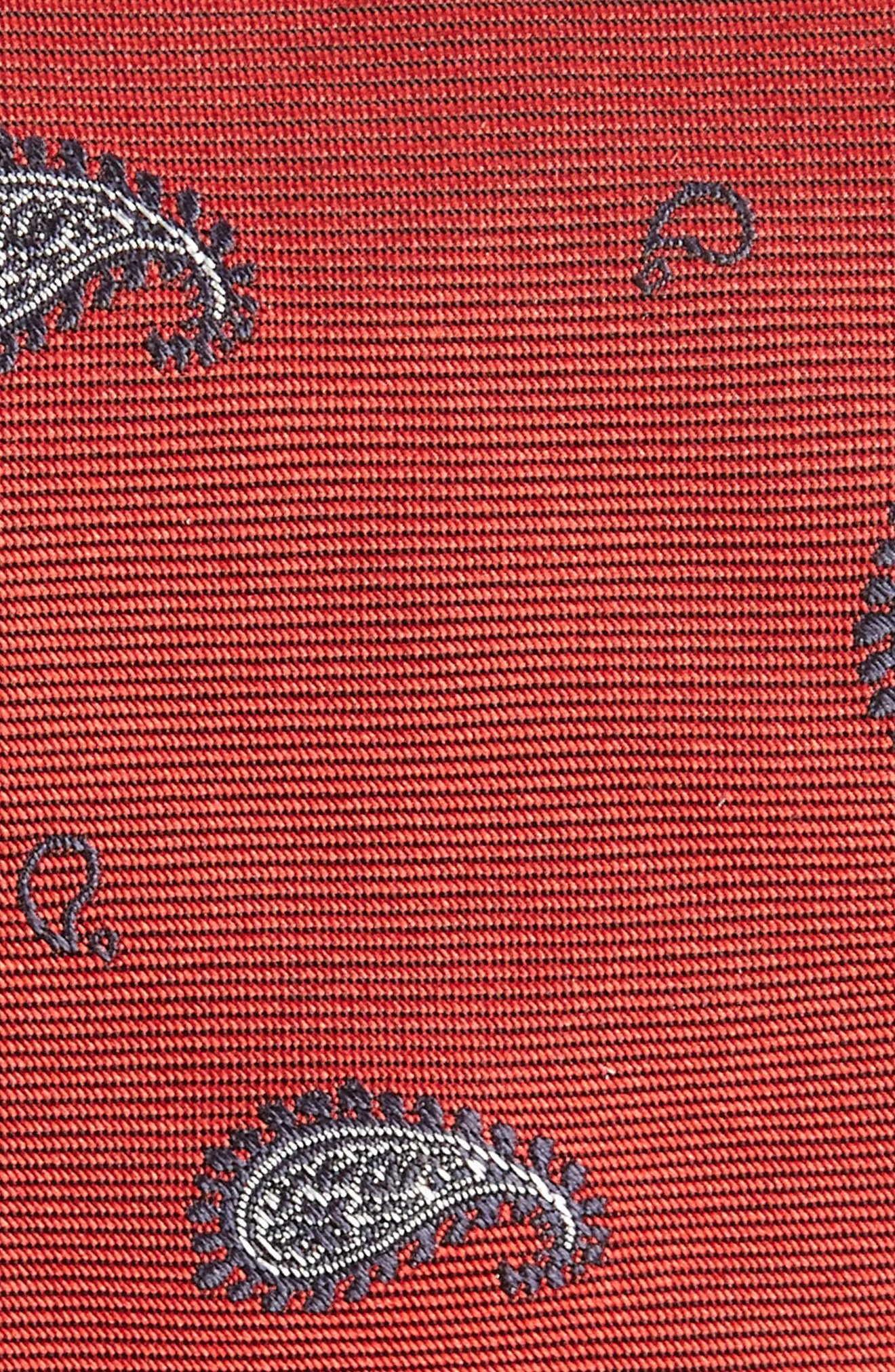 Paisley Silk Tie - 2