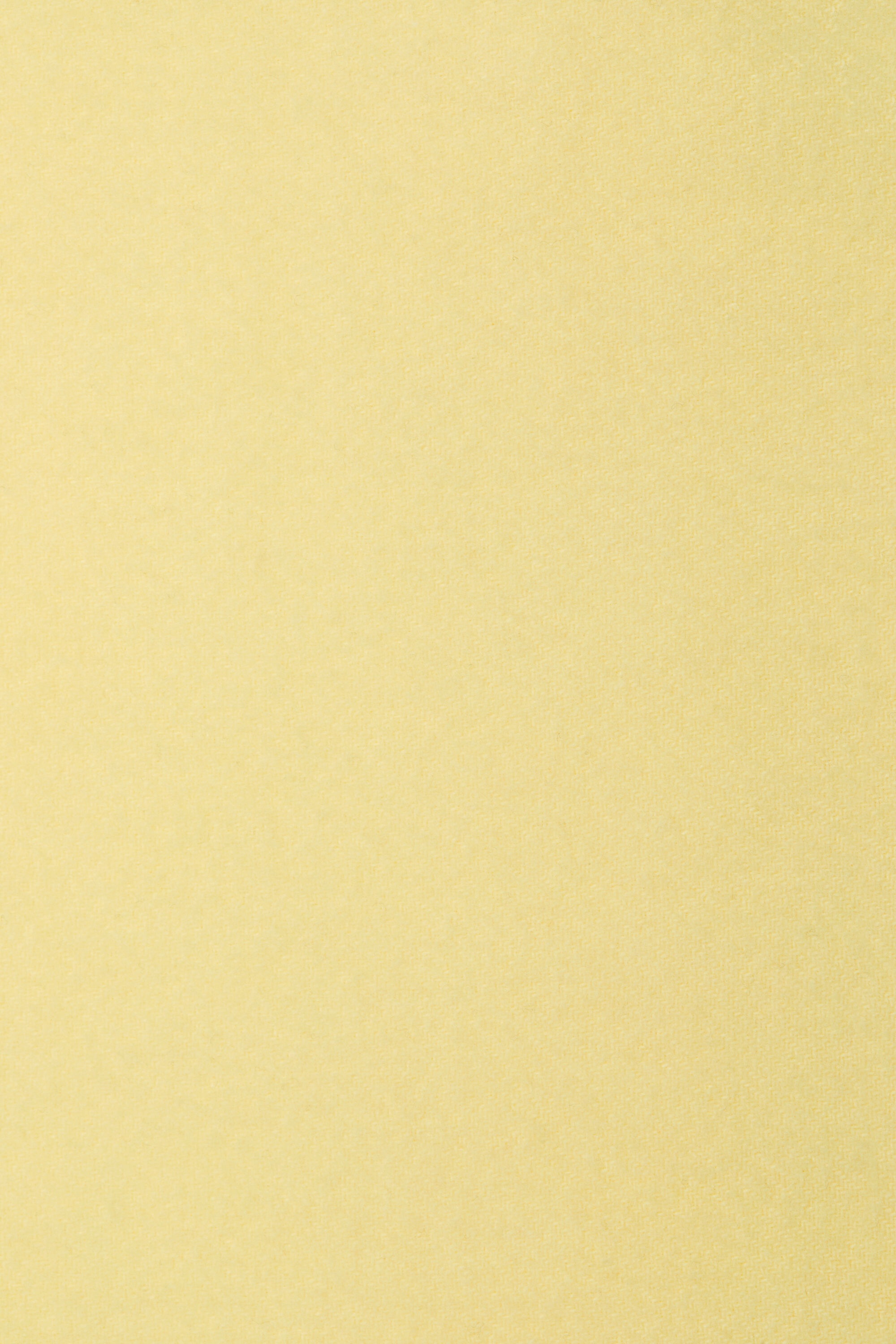 Fringe wool scarf - Narrow - Vanilla yellow - 5