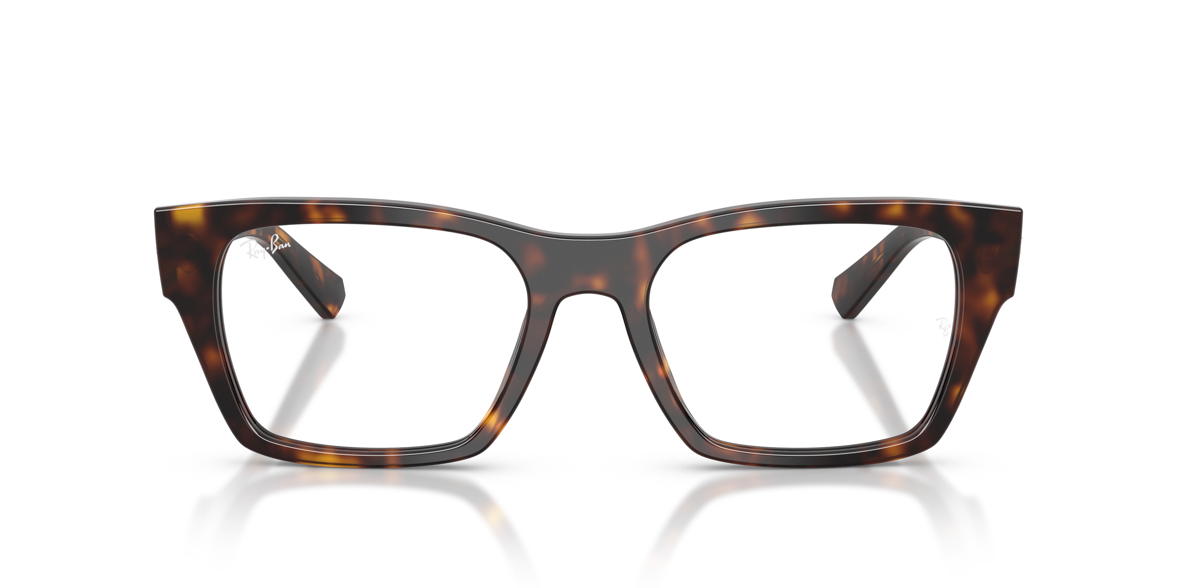RB5448 OPTICS - 4