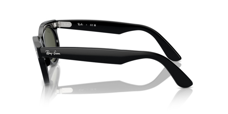 WAYFARER OVAL 5