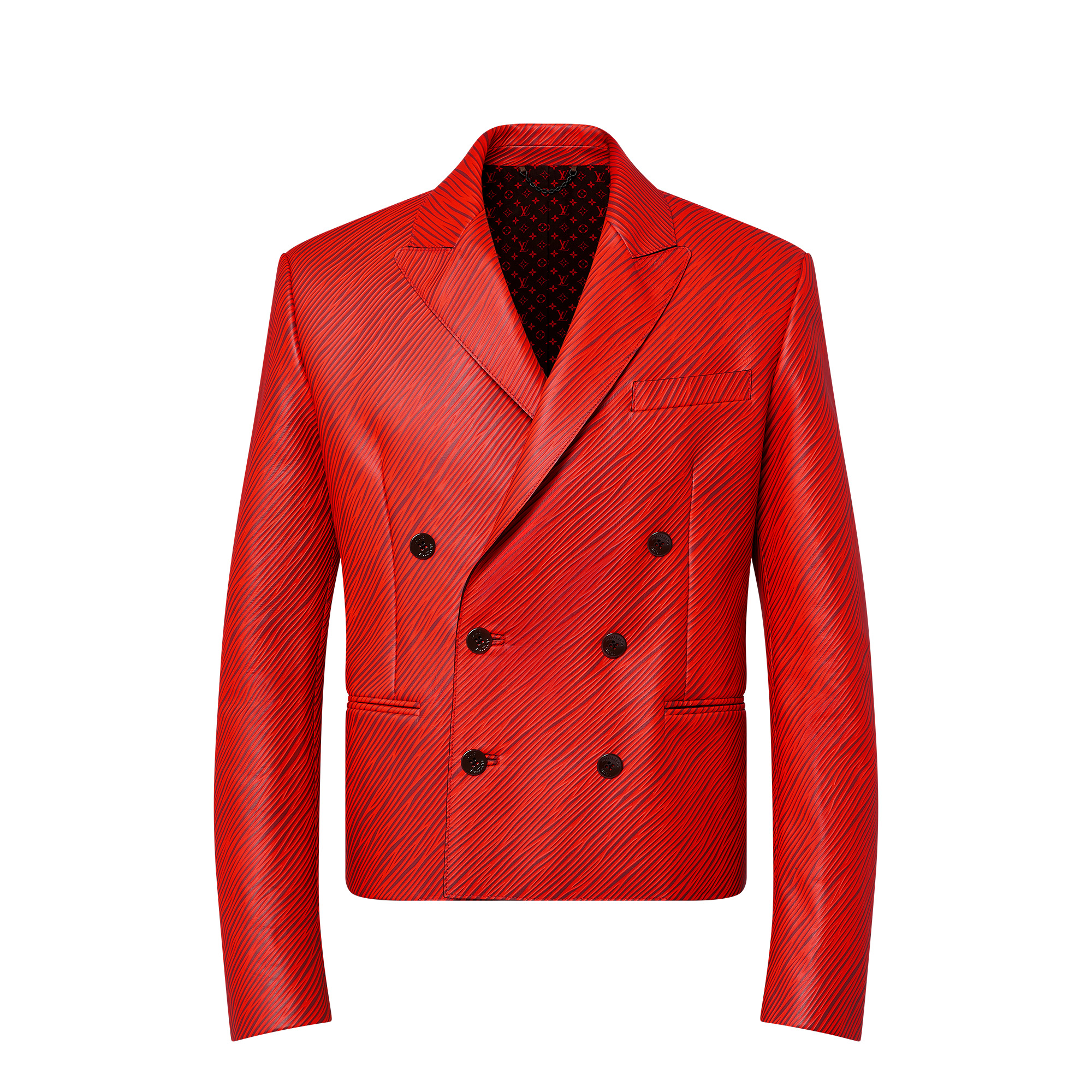 LV x Park Seo-Bo Epi Double-Breasted Leather Jacket - 1