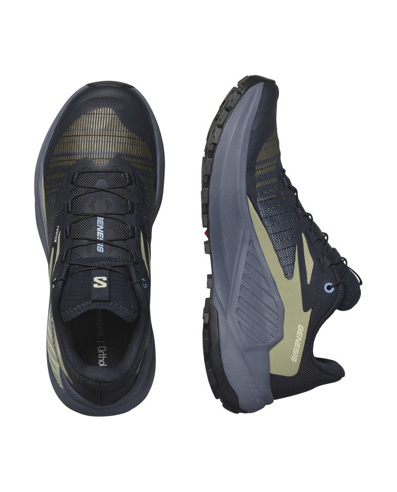 SALOMON GENESIS outlook