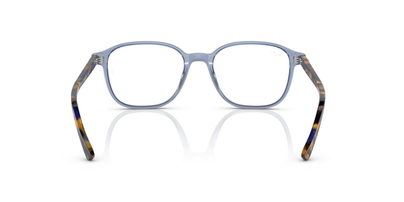 LEONARD OPTICS 6