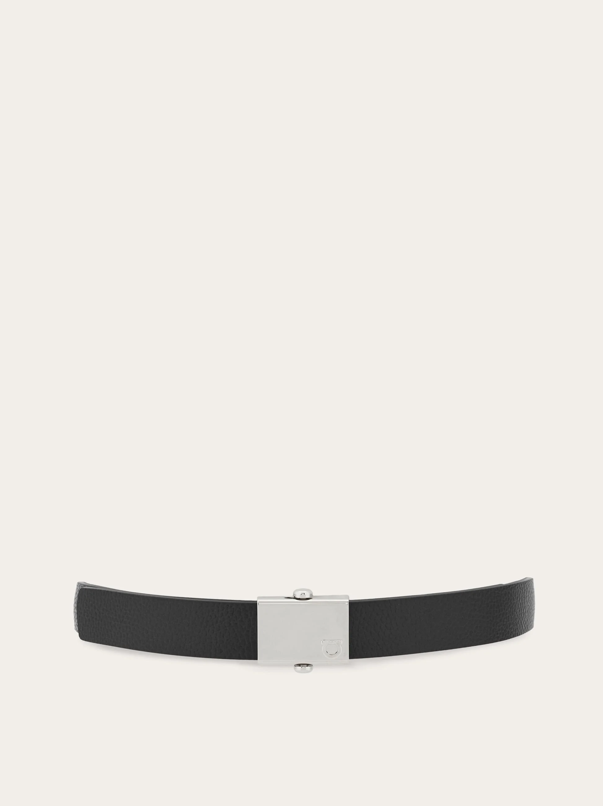 Reversible belt - 1