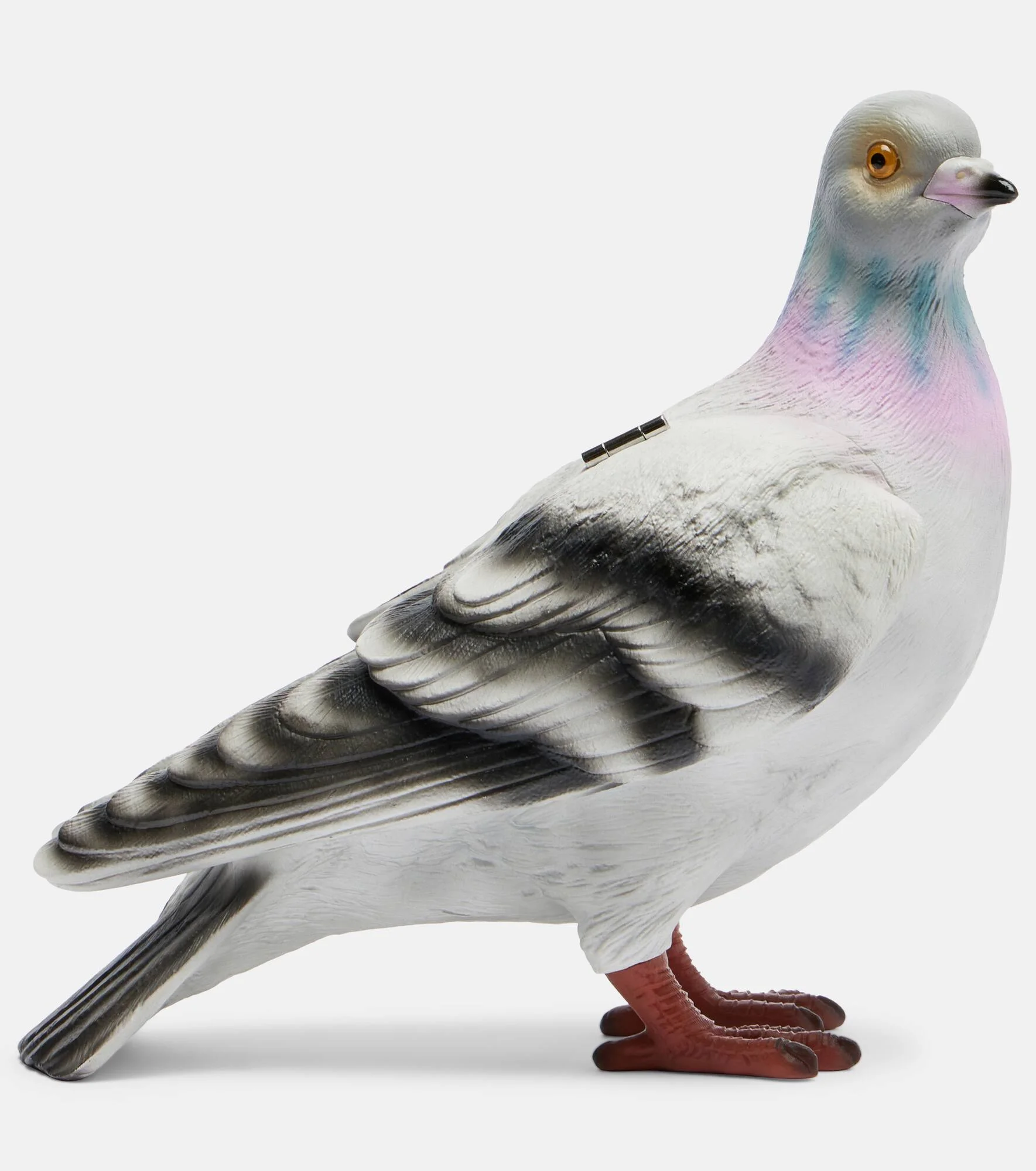 Pigeon clutch - 1