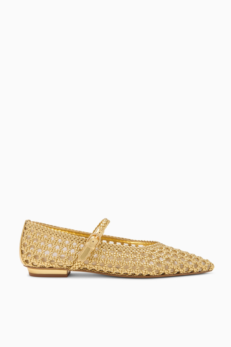 Gracie Pointy Toe Flat 1