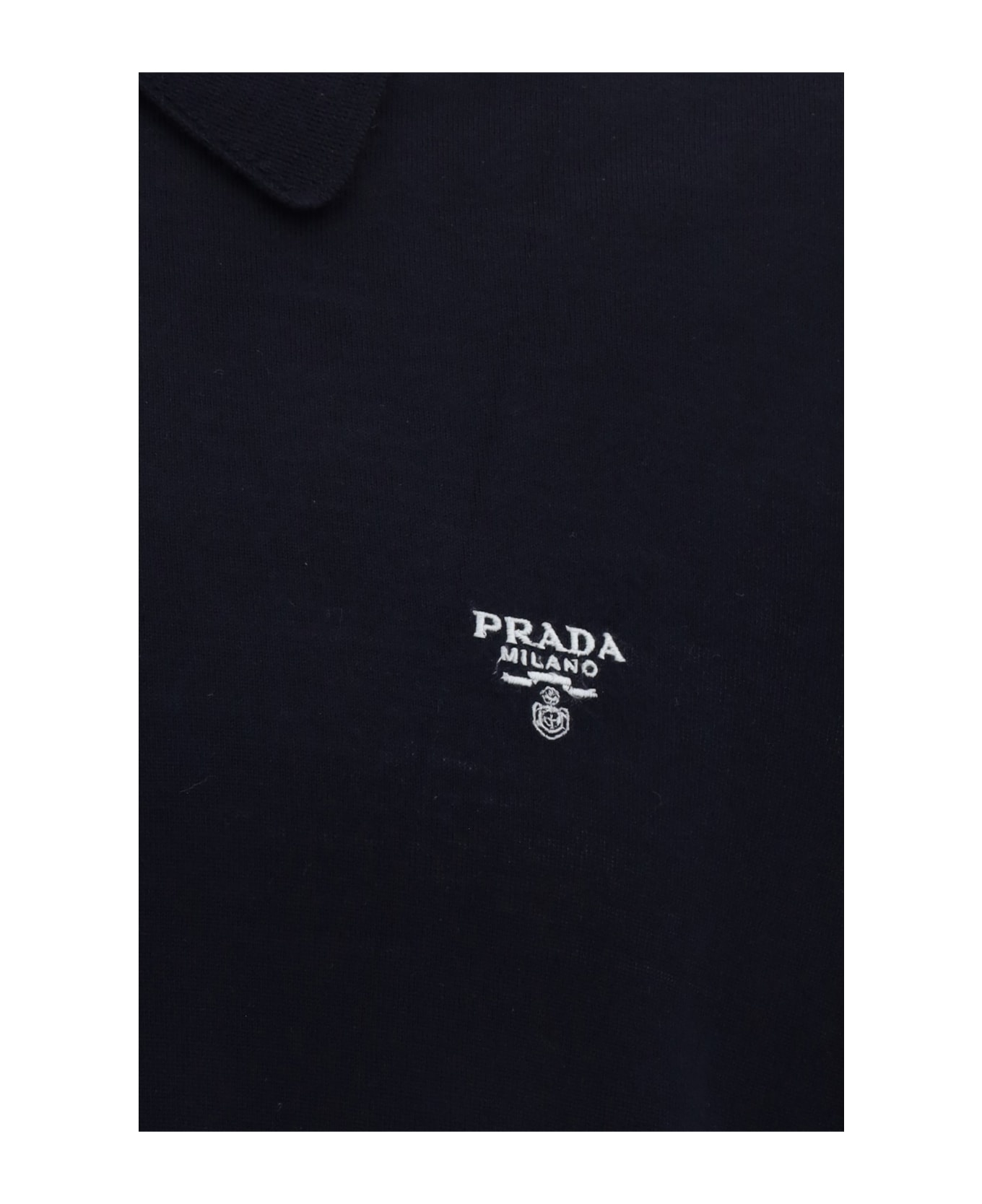 Polo Shirt - 3