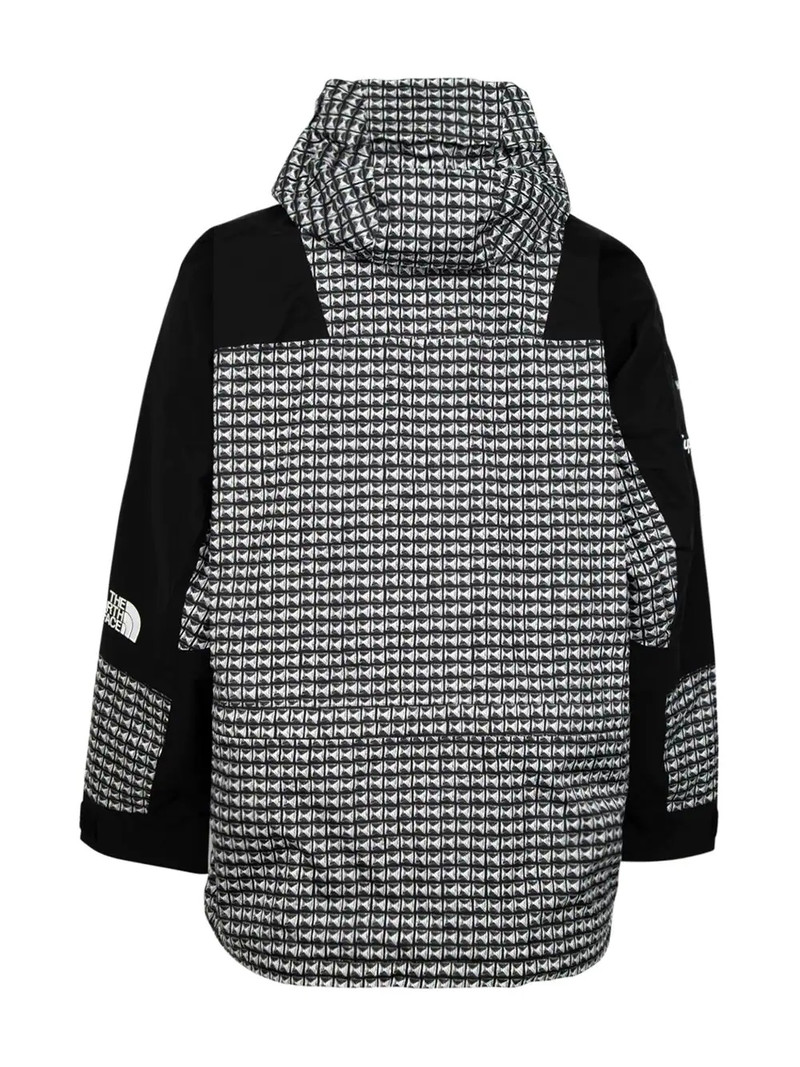 Supreme x The North Face Mountain Light jacket outlook