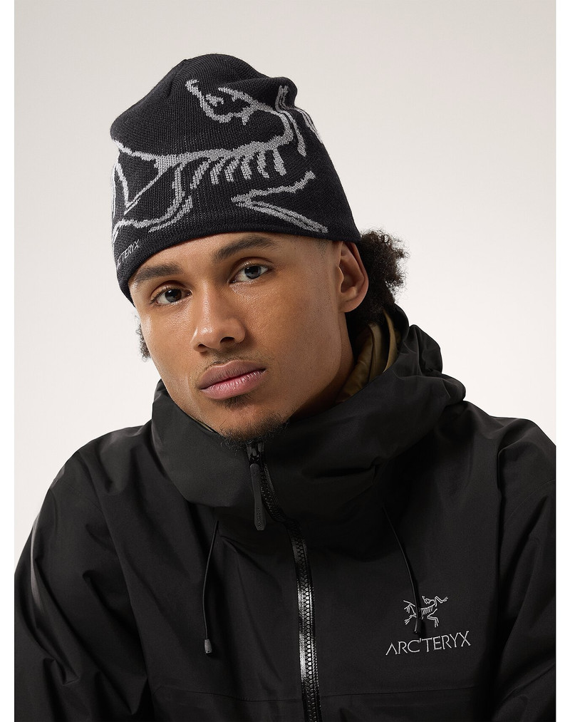 Arc'teryx Bird Head Toque outlook