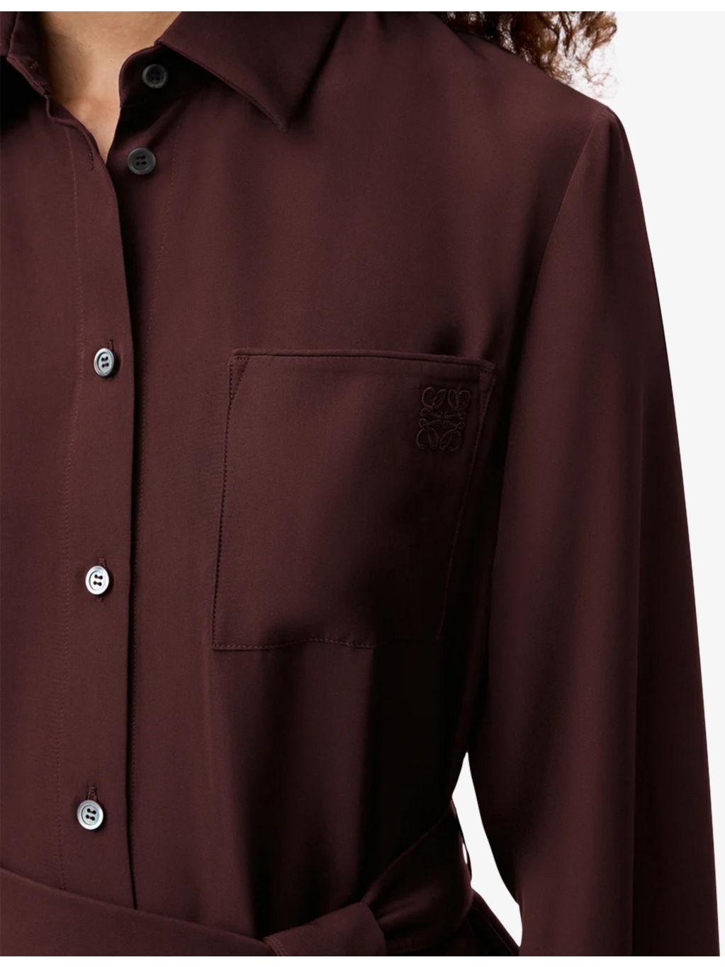 Pointed-Collar Belted Silk Blouse - 5