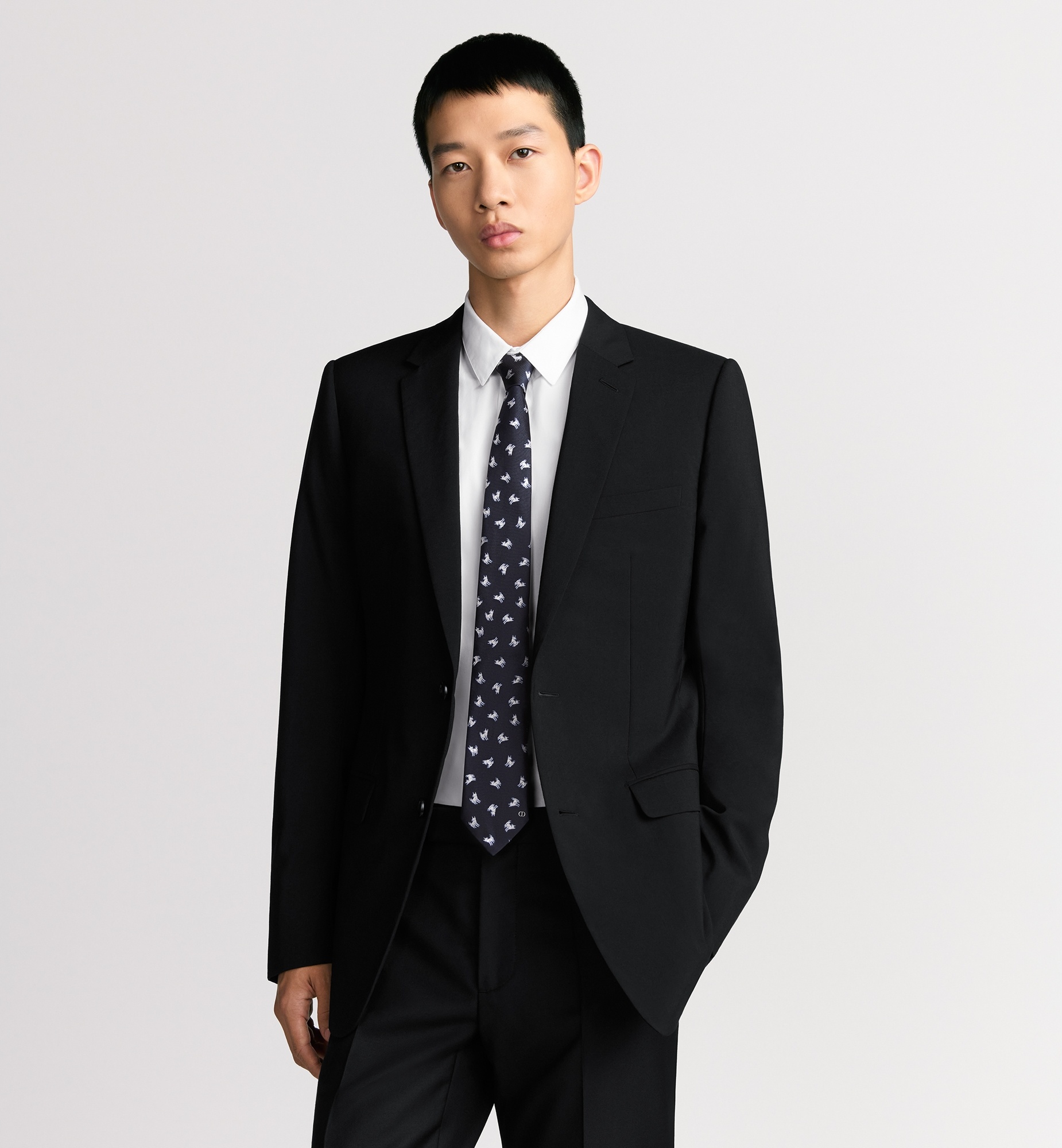 Dior DIOR AND HYLTON NEL Tie | REVERSIBLE