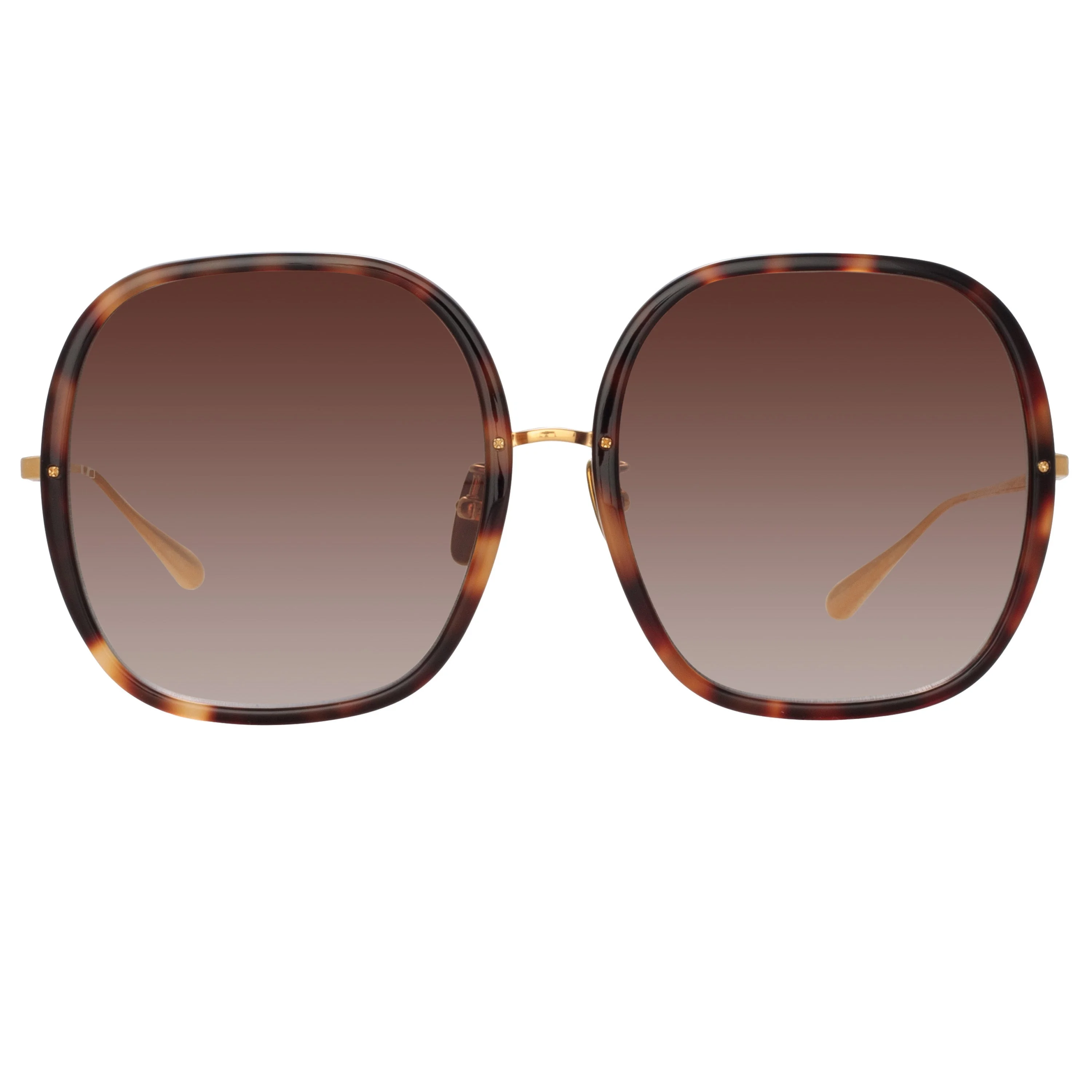 CELIA OVERSIZED SUNGLASSES IN TORTOISESHELL - 1