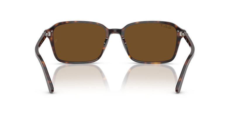 RAIMOND 6