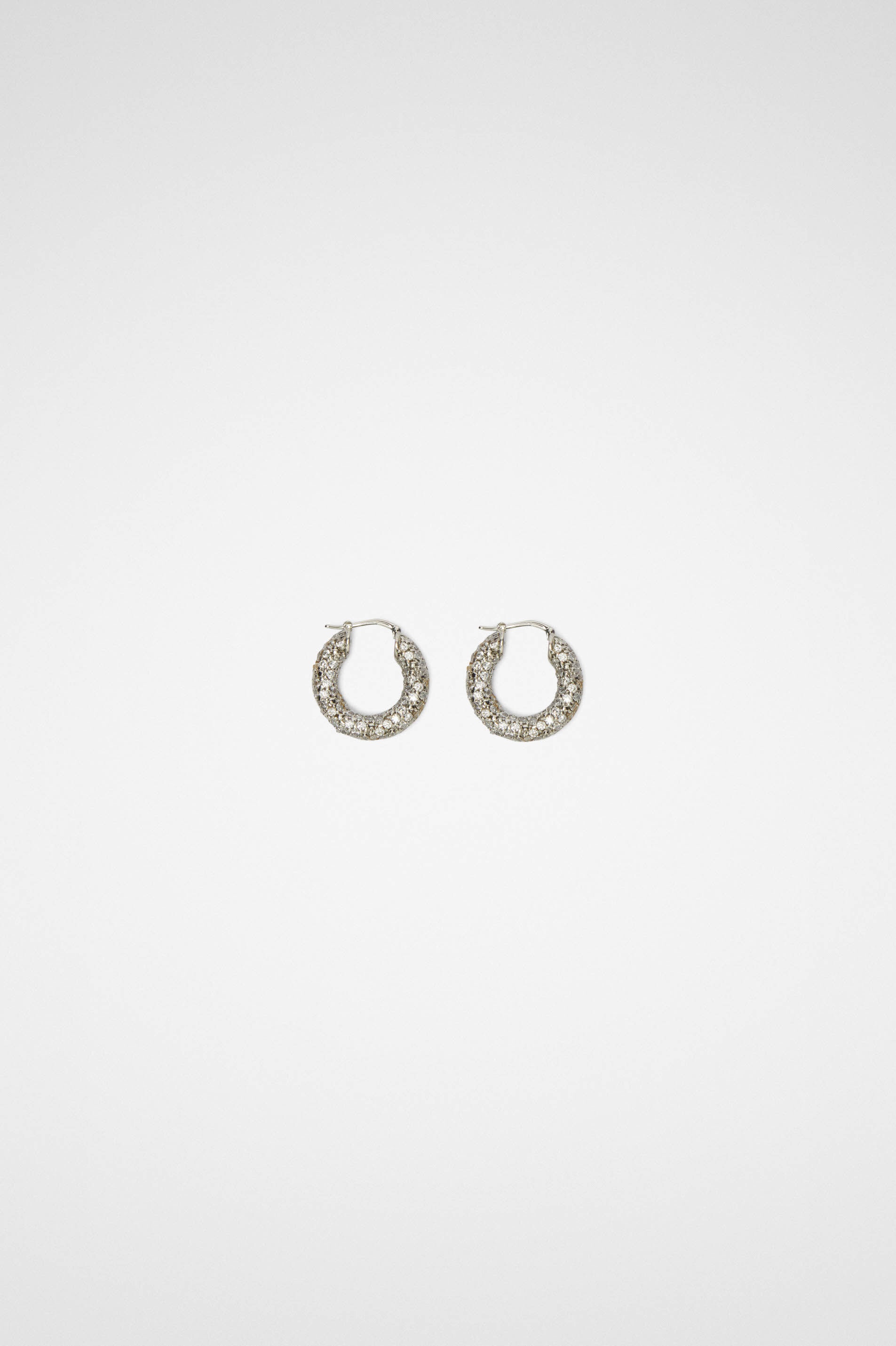 Earrings - 1