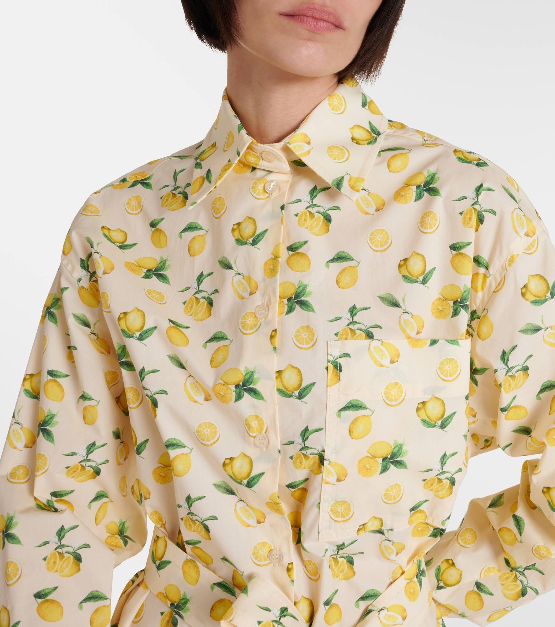 Boero printed cotton shirt dress - 4