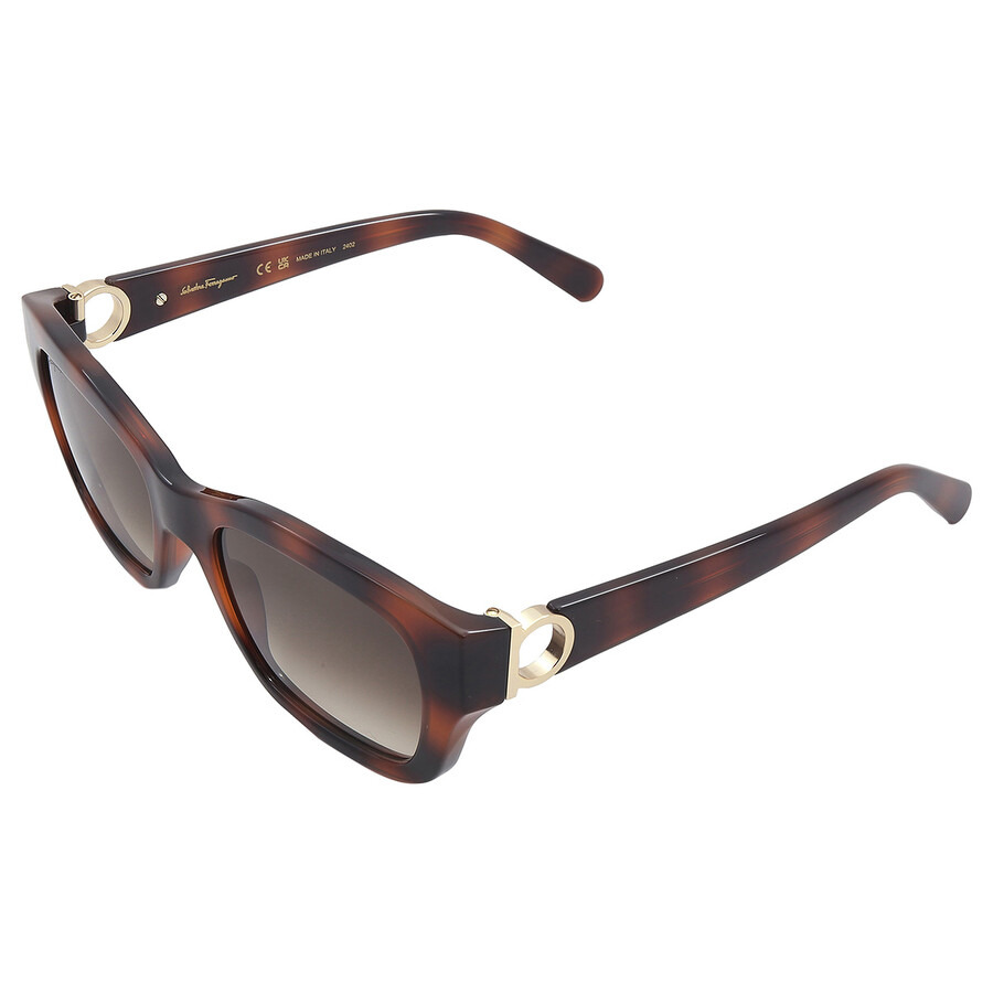 Salvatore Ferragamo Grey Gradient Square Ladies Sunglasses SF1012S 214 53 - 4