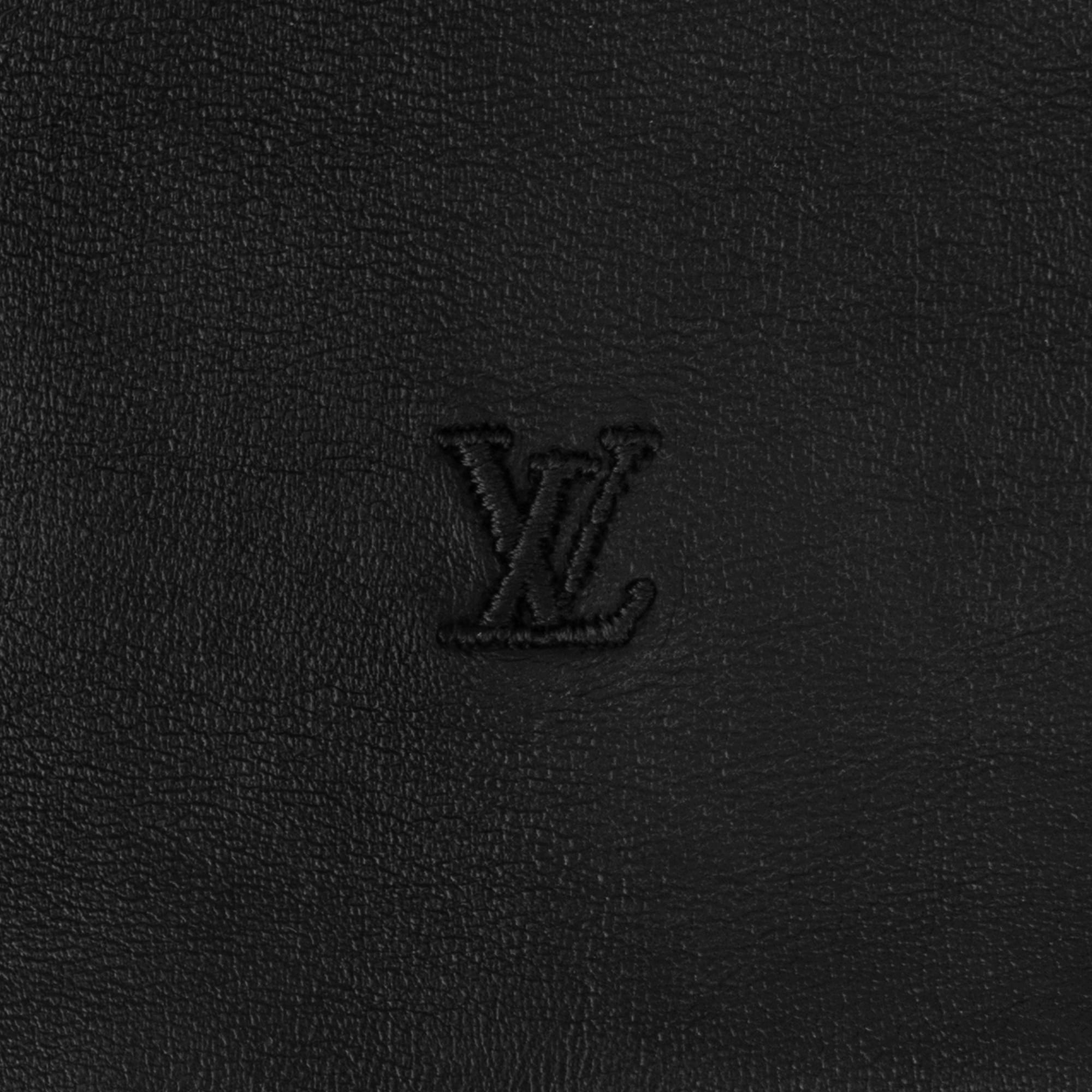 LV Blason Gloves - 2